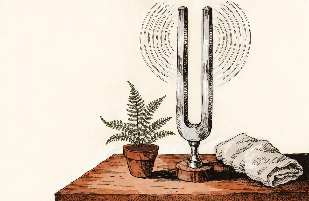 A silver tuning fork standing in a wooden base with fine sound ripples around it, beside a potted fern and a folded cloth