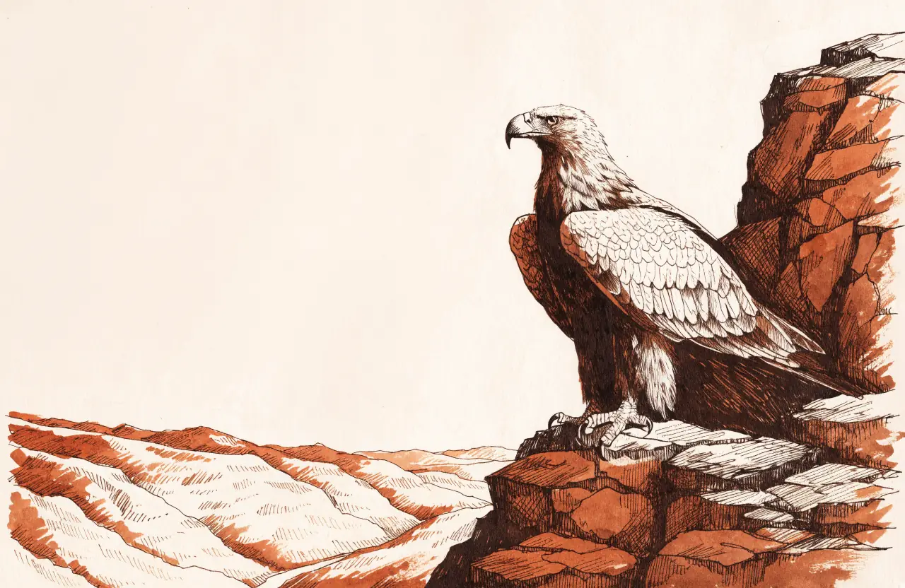 An eagle perched on a rocky outcrop above a wide valley of rolling hills